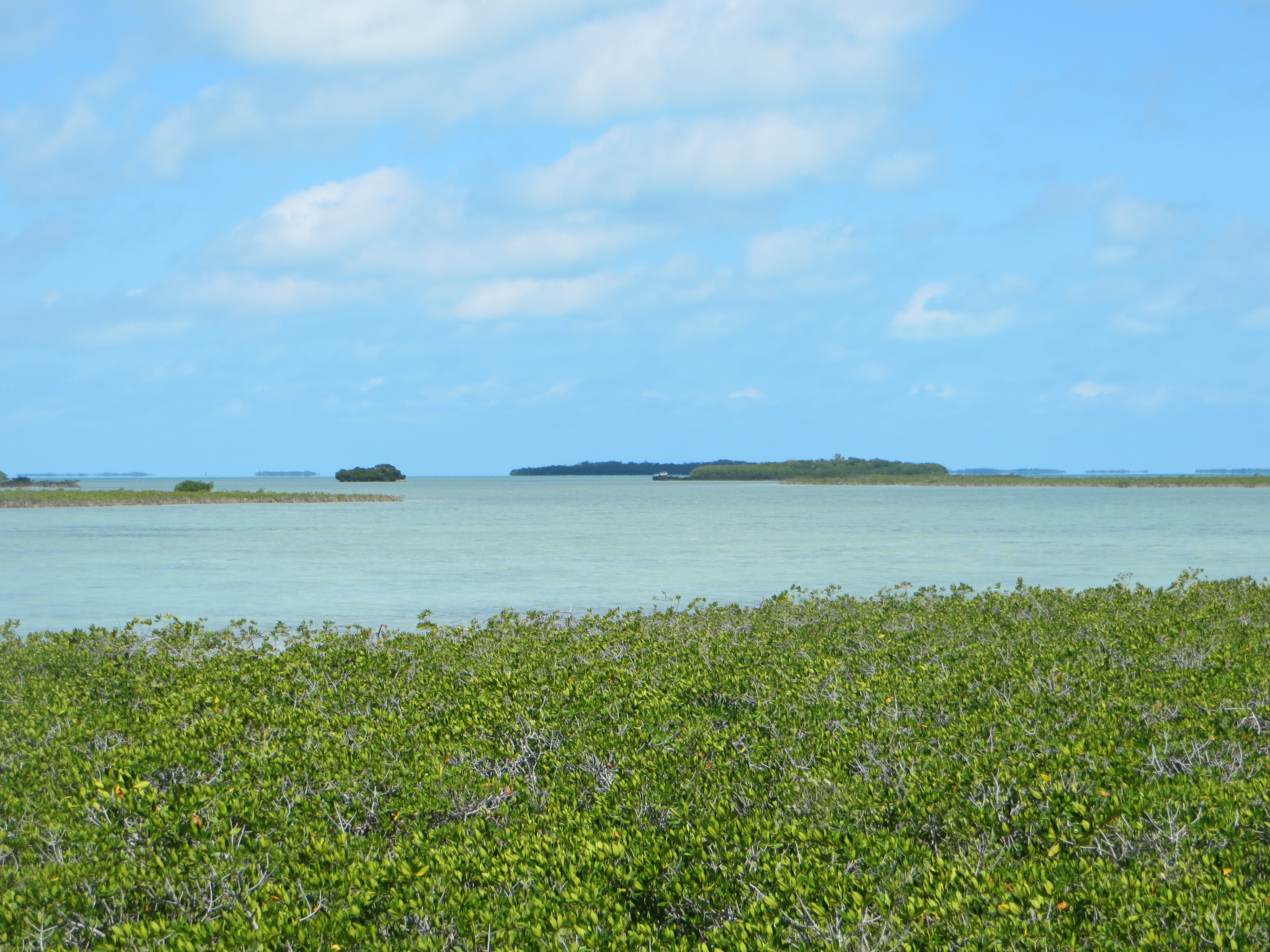 Die Florida Keys bestehen aus mehr als 400 Inseln und bieten bei der Fahrt nach Key West einen unglaublichen Ausblick